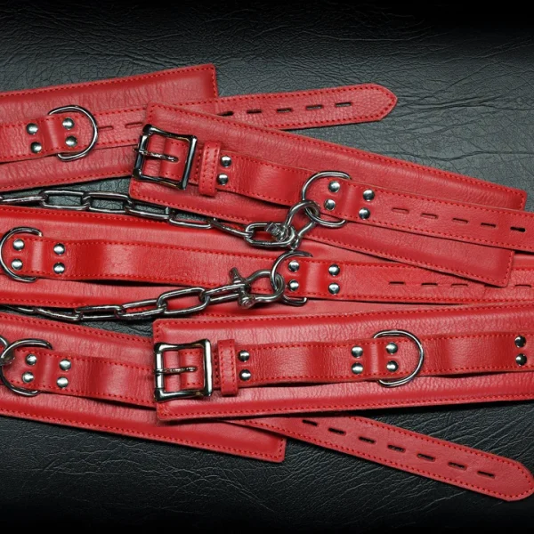 Whips & Chains Bedroom Leathers Set - Image 2