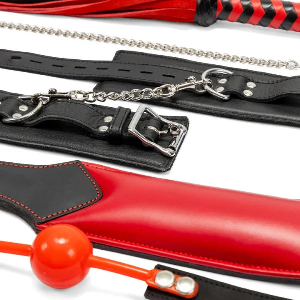 BDSM Essentials Kit - Image 2