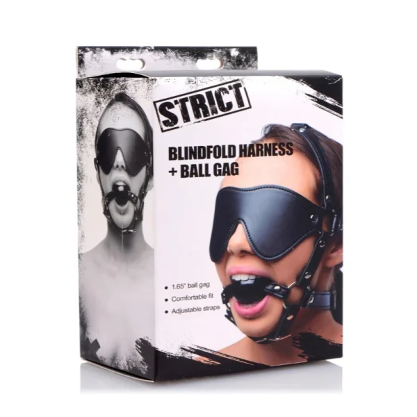 Blindfold Harness and Black Ball Gag - Image 2