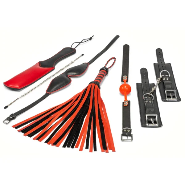 BDSM Essentials Kit - Image 5
