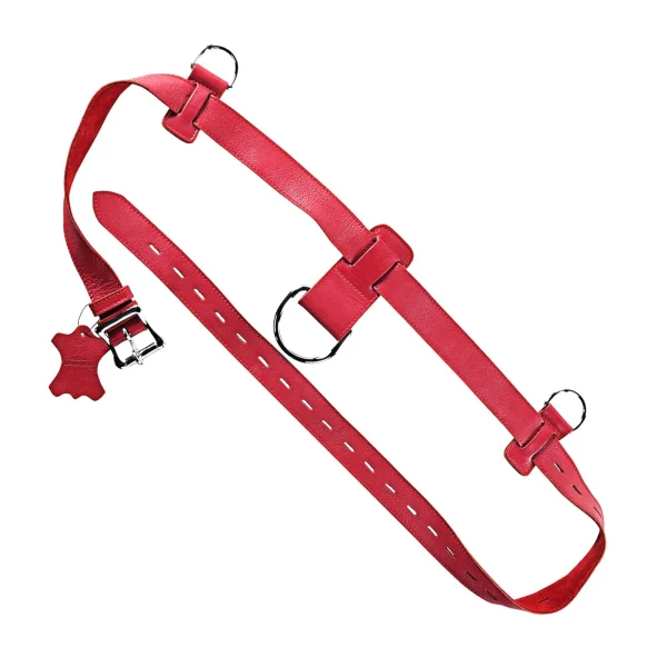 Submission Set: Premium Leather Restraint - Image 10