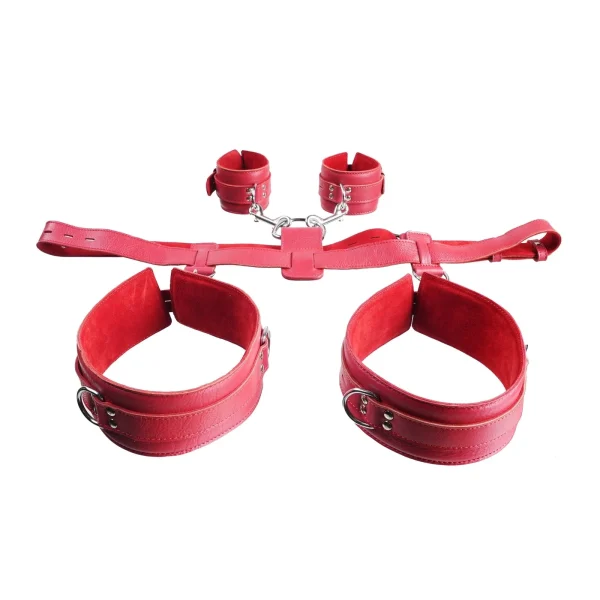 Submission Set: Premium Leather Restraint - Image 6